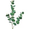 Clayre & Eef 5PL0104 Decoración Rama 18x6x85 cm