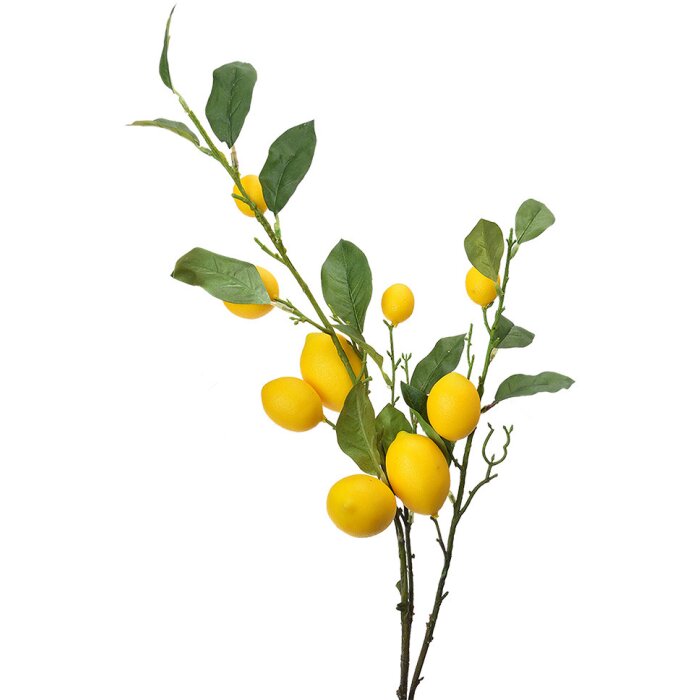 Clayre & Eef 5PL0105 Decoración ramita con limones 20x7x102 cm