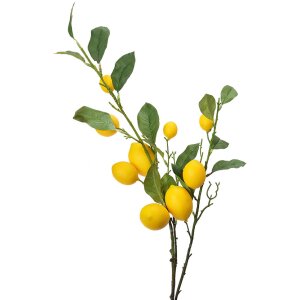 Clayre & Eef 5PL0105 Decoración ramita con limones 20x7x102 cm