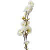 Clayre & Eef 5PL0093 Rama Decorativa con Flores Blanco 10x8x92 cm Plástico