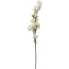 Clayre & Eef 5PL0093 Rama Decorativa con Flores Blanco 10x8x92 cm Plástico