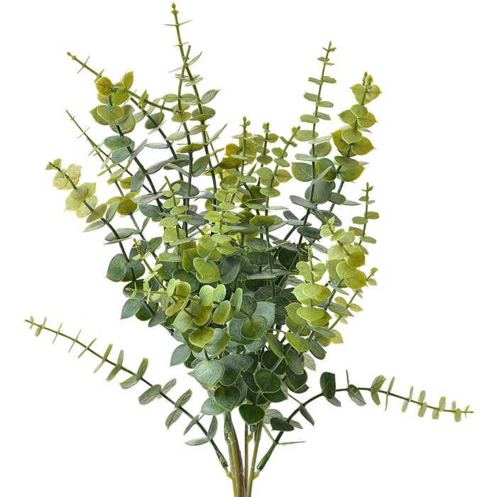 Clayre & Eef 6PL0296 Rama Decorativa Verde 12x12x46 cm Plástico