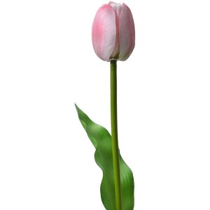 Clayre & Eef 6PL0311 Tulipán artificial Rosa 4x4x32 cm Flor de plástico