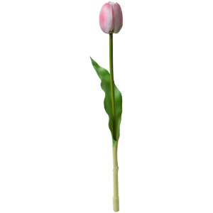 Clayre & Eef 6PL0311 Tulipán artificial Rosa 4x4x32 cm Flor de plástico