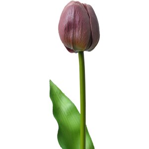 Clayre & Eef 6PL0312 Flor artificial Tulipán...