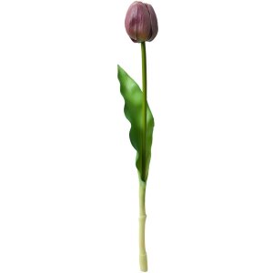 Clayre & Eef 6PL0312 Flor artificial Tulipán morado 4x4x32 cm