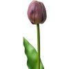 Clayre & Eef 6PL0312 Flor artificial Tulipán morado 4x4x32 cm