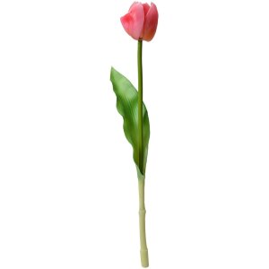 Clayre & Eef 6PL0313 Tulipán Flor Artificial Rosa 4x4x32 cm Plástico