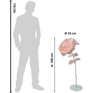 Clayre & Eef 50780 Decoración Rosa Ø 33x100 cm