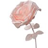 Clayre & Eef 50780 Decoración Rosa Ø 33x100 cm
