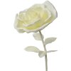 Clayre & Eef 50781 Decoración Rosa Ø 23x80 cm