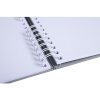 Exacompta 16168E Álbum espiral 50 páginas blanco 32x22 cm Elipse gris