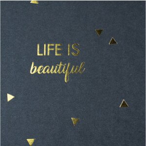 Exacompta 16452E Álbum espiral 50 páginas negro 32x22cm LIFE Azul