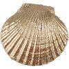 Clayre & Eef 65732 Pomo Concha 6x4x6 cm Poliresina dorada