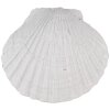 Clayre & Eef 65734 Pomo Puerta Concha Poliresina Blanco 6x4x6 cm Estilo Vintage