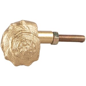 Clayre Eef pomo puerta concha 5x3x3 cm plástico...