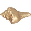 Clayre Eef pomo puerta concha 5x3x3 cm plástico dorado estilo retro vintage
