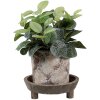 Clayre & Eef 6H2316 Cuenco Decorativo Madera Marrón Ø 22x7 cm Estilo Bohemio