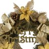 Clayre & Eef 65774 Guirnalda decorativa Navidad color oro Ø 40x10 cm