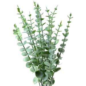 Clayre & Eef 6PL0278 Decoración Rama Verde 10x8x50 cm Plástico