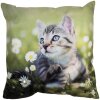 Clayre & Eef KT021.370 Funda de Cojín Verde Gris 45x45 cm Poliéster