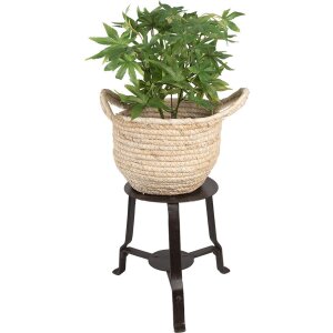 Clayre & Eef 6UNY0010 Mesa para Plantas Hierro Redonda Negra 18x18x22 cm Estilo Campestre