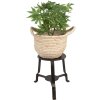 Clayre & Eef 6UNY0010 Mesa para Plantas Hierro Redonda Negra 18x18x22 cm Estilo Campestre