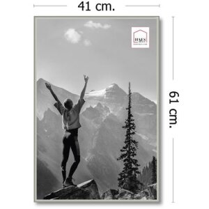 Marco de fotos de plástico Haes Deco EF9S Easy Frame Plata 40x60 cm
