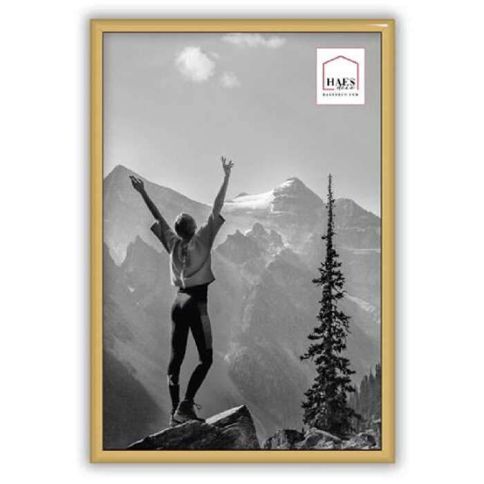 Haes Deco EF4G Easy Frame Marco de fotos de plástico dorado 20x30 cm