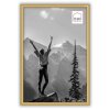 Haes Deco EF4G Easy Frame Marco de fotos de plástico dorado 20x30 cm