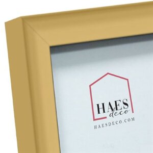 Haes Deco EF13G Easy Frame Marco de plástico dorado 30x30 cm