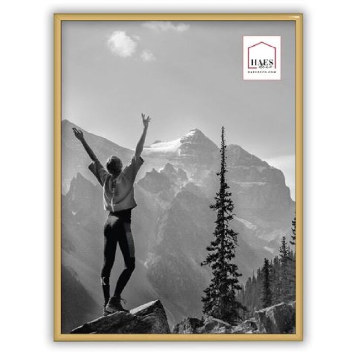 Marco de fotos de plástico Haes Deco Easy Frame Oro 30x40 cm