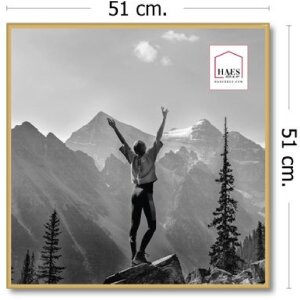 Haes Deco Easy Frame marco de fotos de plástico dorado 50x50 cm