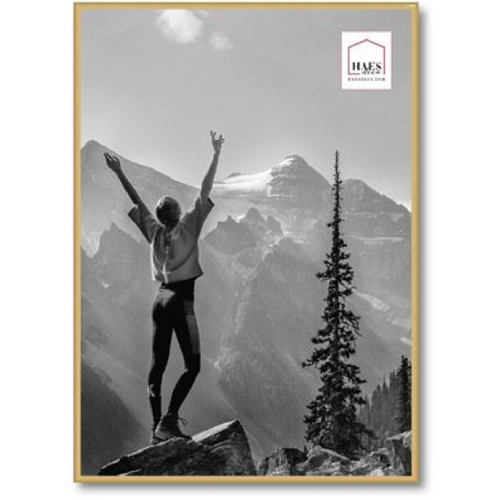 Marco de fotos de plástico Haes Deco EF8G Easy Frame Gold 50x70 cm para montaje en pared