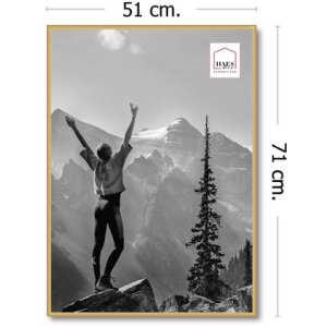 Marco de fotos de plástico Haes Deco EF8G Easy Frame Gold 50x70 cm para montaje en pared