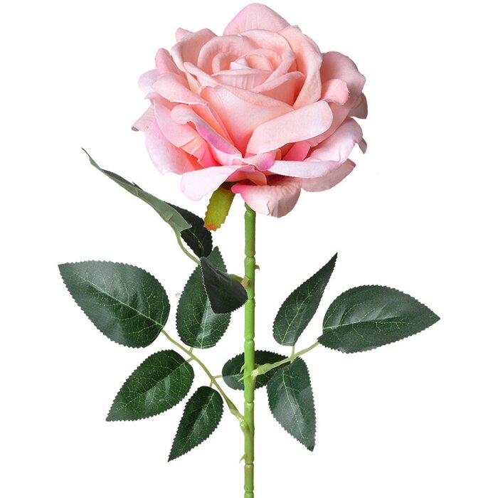 Clayre & Eef 5PL0106P Flor artificial Rosa Verde Ø 12x76 cm