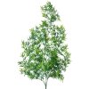 Clayre & Eef 5PL0089 Decoración ramita 12x12x80 cm