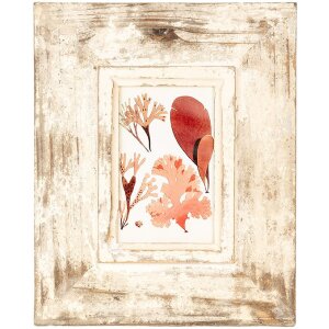 Clayre & Eef 2F1098 Marco de Foto Beige Antiguo...