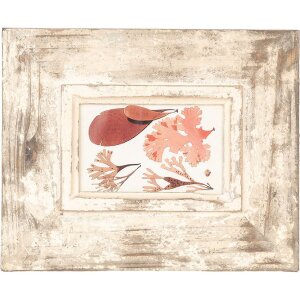 Clayre & Eef 2F1098 Marco de Foto Beige Antiguo 24x3x29 cm para Foto 10x15 cm