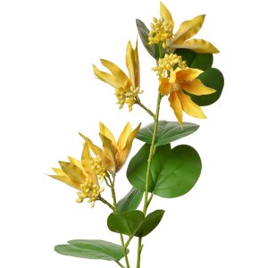 Clayre & Eef 5PL0116Y Rama Decorativa Amarillo...