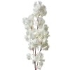 Clayre & Eef 5PL0118W Decoración Rama con Flores Blanco 24x8x100 cm
