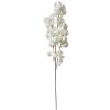 Clayre & Eef 5PL0118W Decoración Rama con Flores Blanco 24x8x100 cm