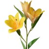 Clayre & Eef 5PL0119Y Ramo Decorativo con Flores Amarillo 17x12x71 cm Moderno
