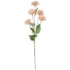 Clayre & Eef 5PL0124P Rama decorativa con flores rosas 16x9x70 cm plástico moderno