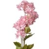 Clayre & Eef 5PL0125LP Decoración Rama con Flores Rosa 17x9x72 cm