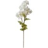 Clayre & Eef 5PL0125W Decoración Rama con Flores Blanco 17x9x72 cm