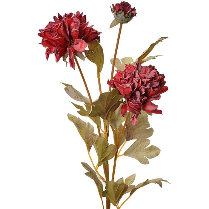 Clayre & Eef 6PL0328DP Rama decorativa con flores rojas 9x9x68 cm