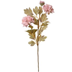Clayre & Eef 6PL0328P Decoración Rama con...