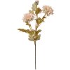 Clayre & Eef 6PL0328W Rama decorativa con flores Beige 9x9x68 cm