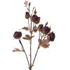 Clayre & Eef 6PL0330R Decoración Rama con Flores Rojo Rústico 16x9x73 cm